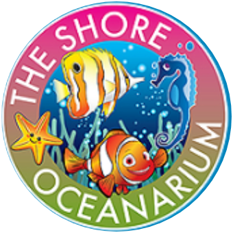 The Shore Oceanarium
