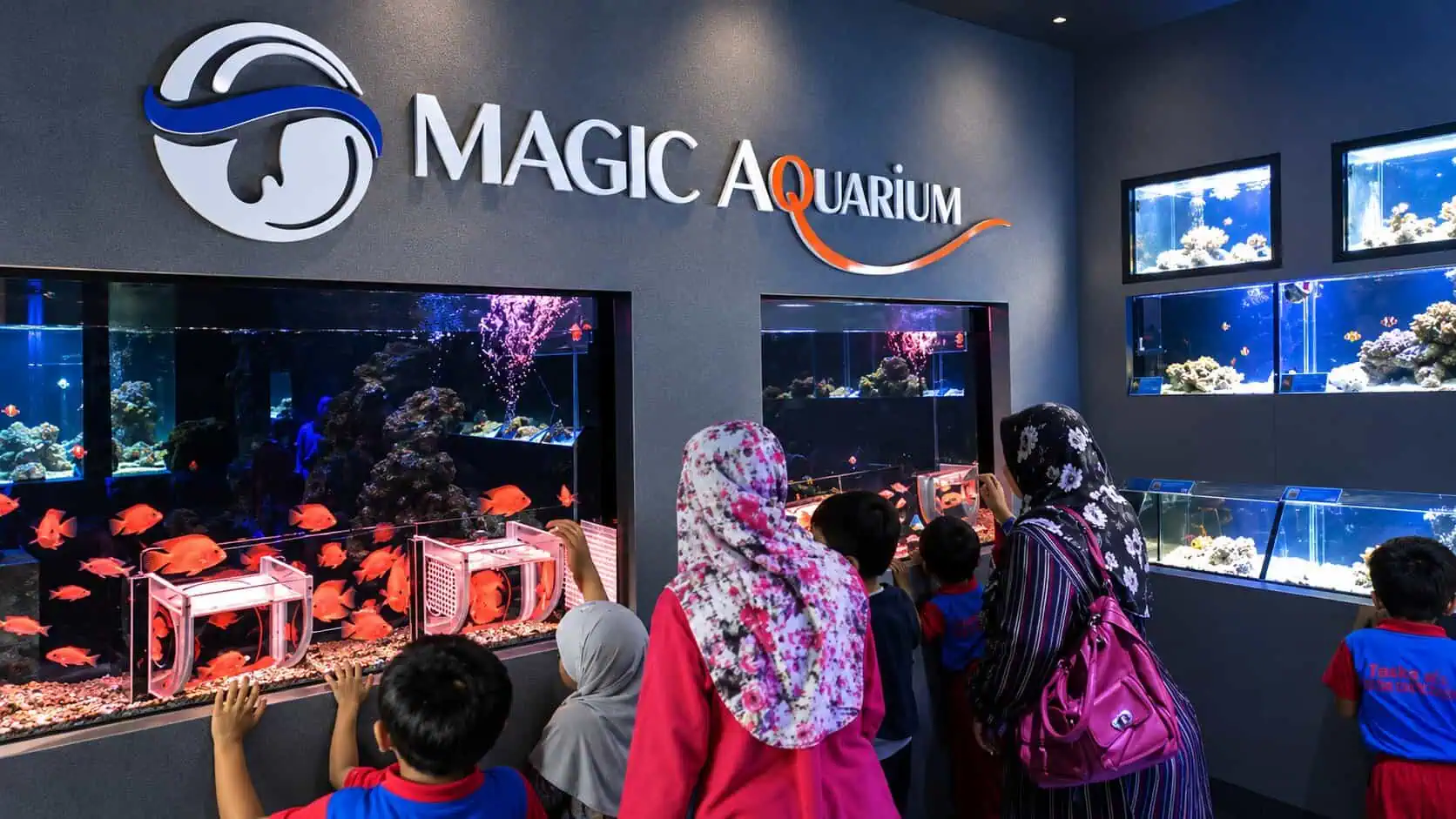Magical Vacuum Aquarium