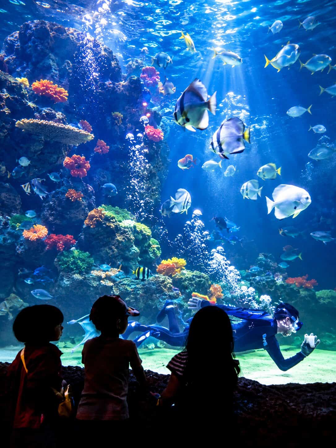 Ocean Theatre