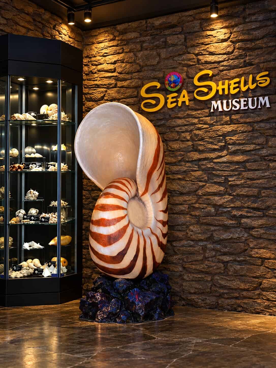 Sea Shell Museum