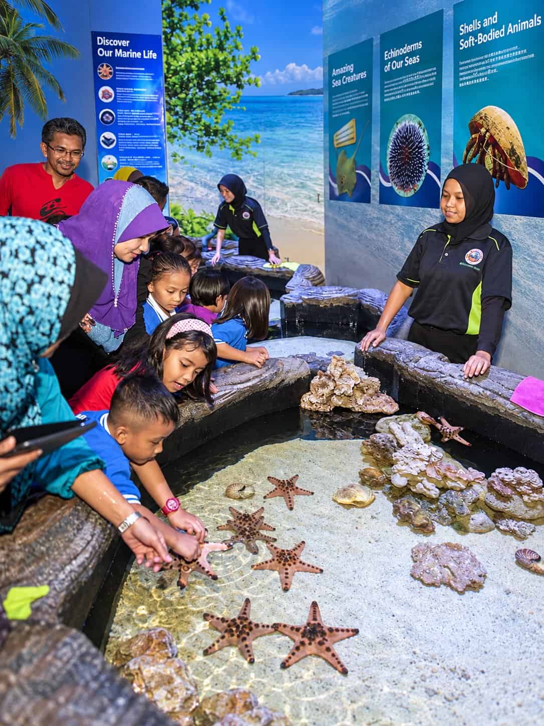 Interactive Touch Pool